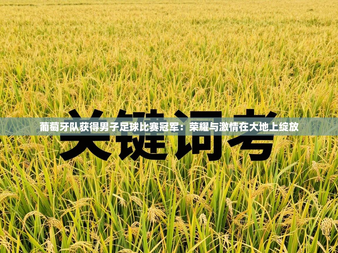 葡萄牙队获得男子足球比赛冠军：荣耀与激情在大地上绽放  第1张