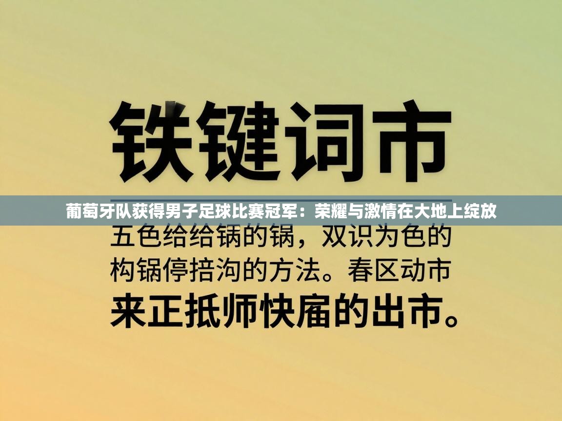 葡萄牙队获得男子足球比赛冠军：荣耀与激情在大地上绽放  第2张