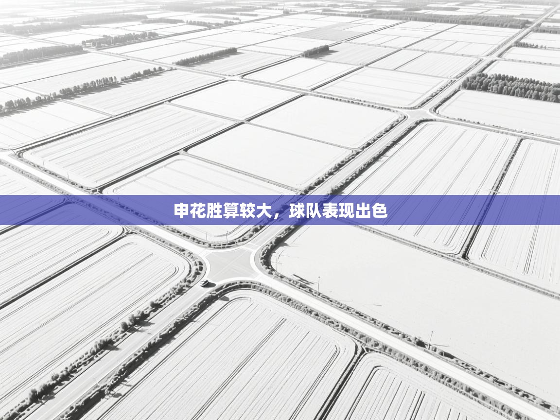 申花胜算较大,球队表现出色 第1张